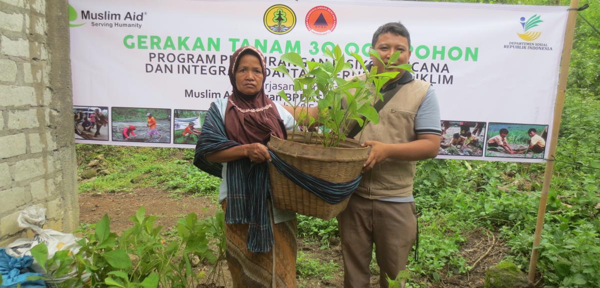 Disaster Risk Reduction Through Tree Planting